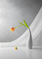 Simplicity Poster och Canvastavla
