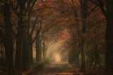 Autumn walk Poster och Canvastavla