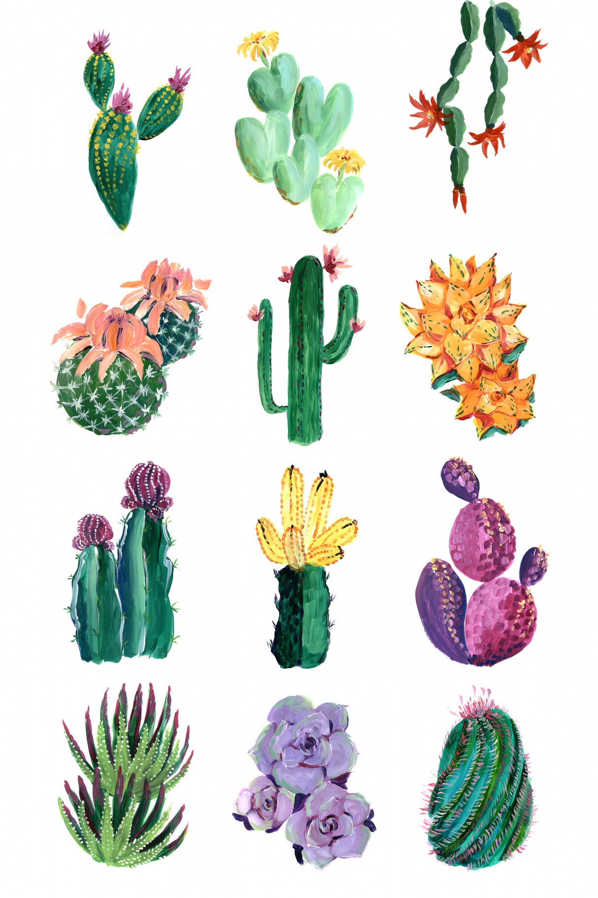 Collection of cacti Poster och Canvastavla
