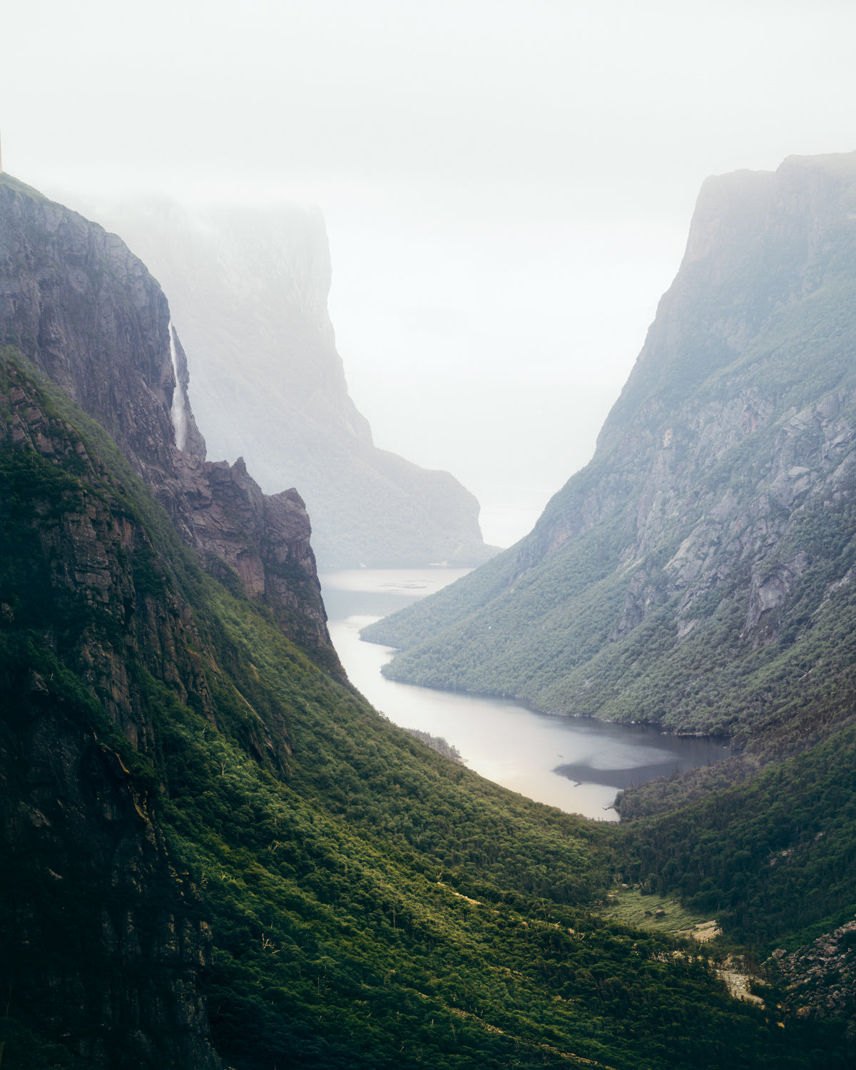 Newfoundland Fjord Poster och Canvastavla