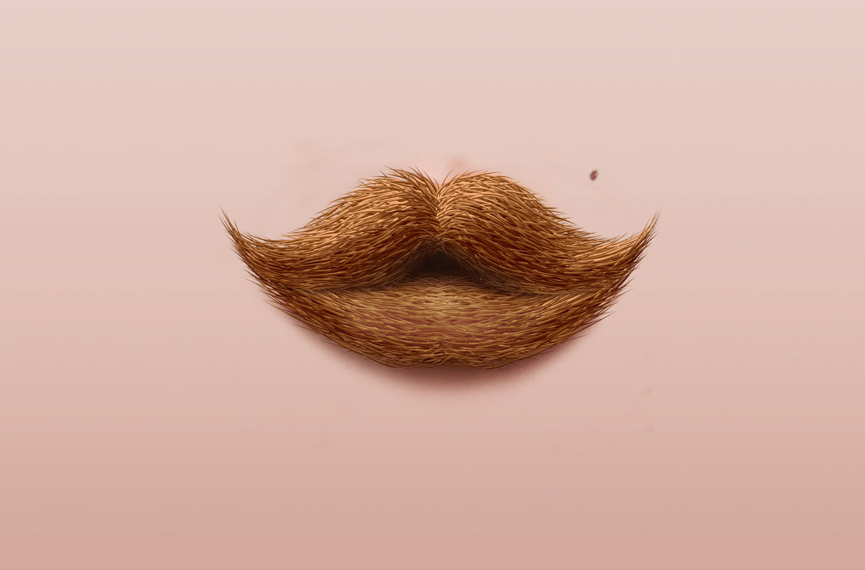 Moustache Kiss Poster och Canvastavla