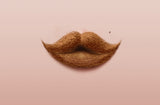 Moustache Kiss Poster och Canvastavla