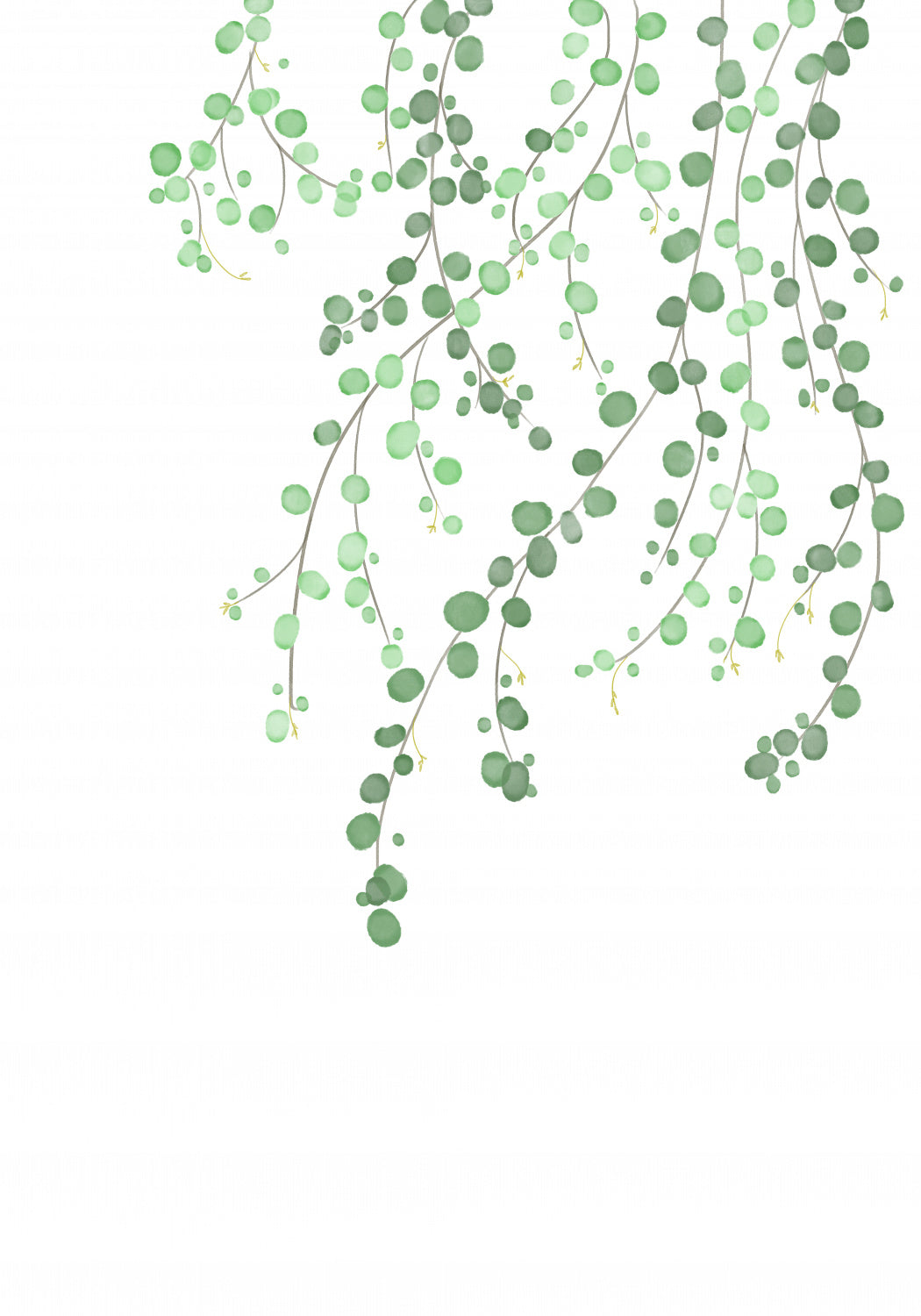 Birch Tree Poster och Canvastavla