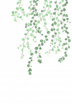 Birch Tree Poster och Canvastavla