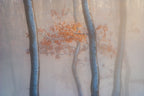 Thin air Poster och Canvastavla