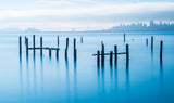 The Old Pier of Sausalito Poster och Canvastavla