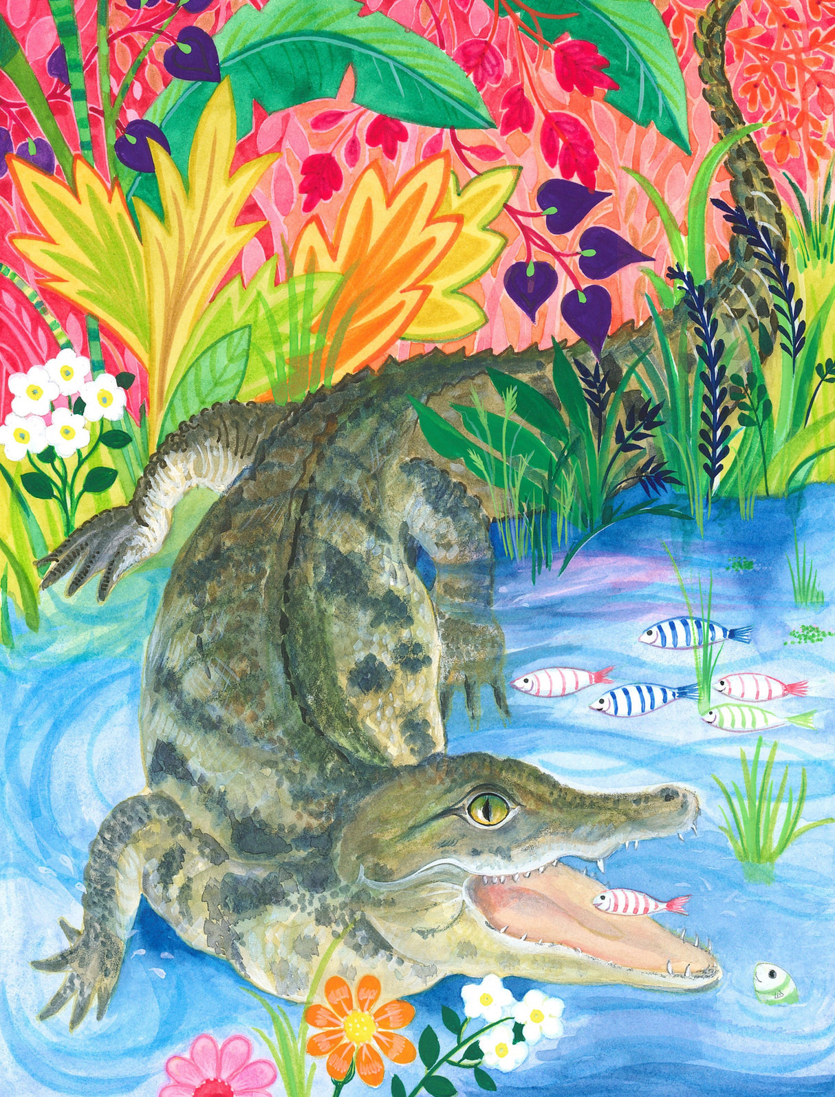 Crocodile Smile Poster och Canvastavla