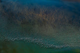 millions flamingos taking off Poster och Canvastavla