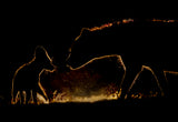 At Night Poster och Canvastavla