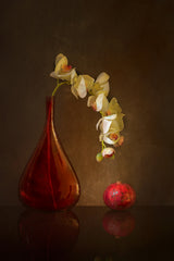 Butterfly Orchid and pomegranate Poster och Canvastavla