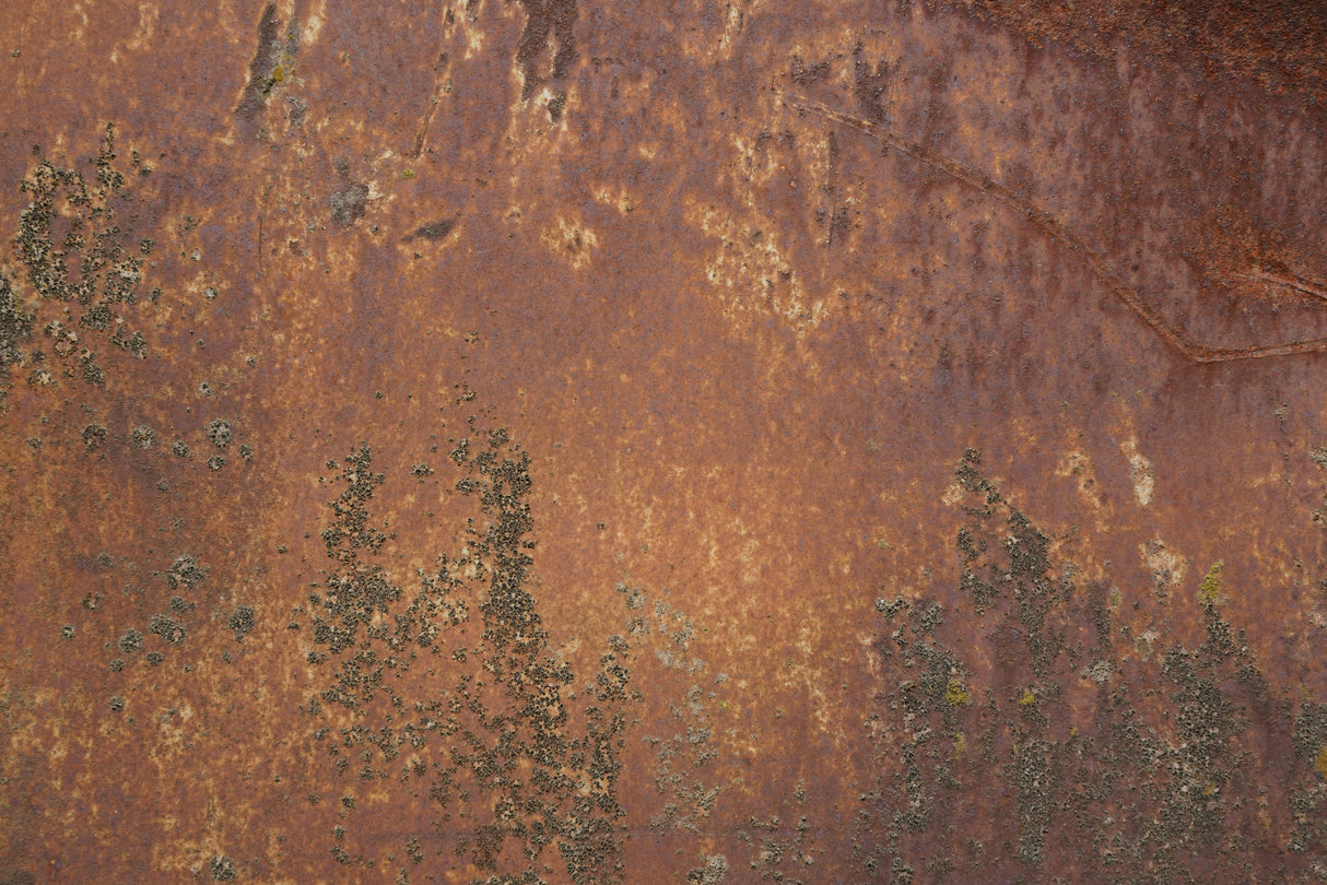 Rust 32 Poster och Canvastavla