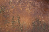 Rust 32 Poster och Canvastavla