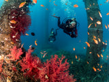 Scuba divers Poster och Canvastavla