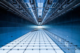 Going up or down ? Poster och Canvastavla