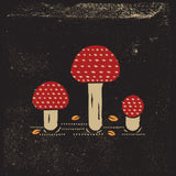 Mushrooms Poster och Canvastavla