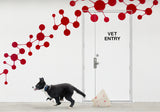 Escape at the Vet Poster och Canvastavla