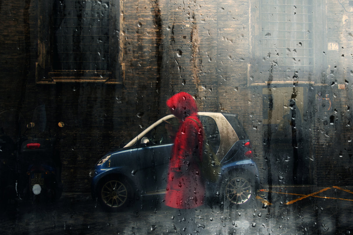 Little Red Riding Hood Poster och Canvastavla
