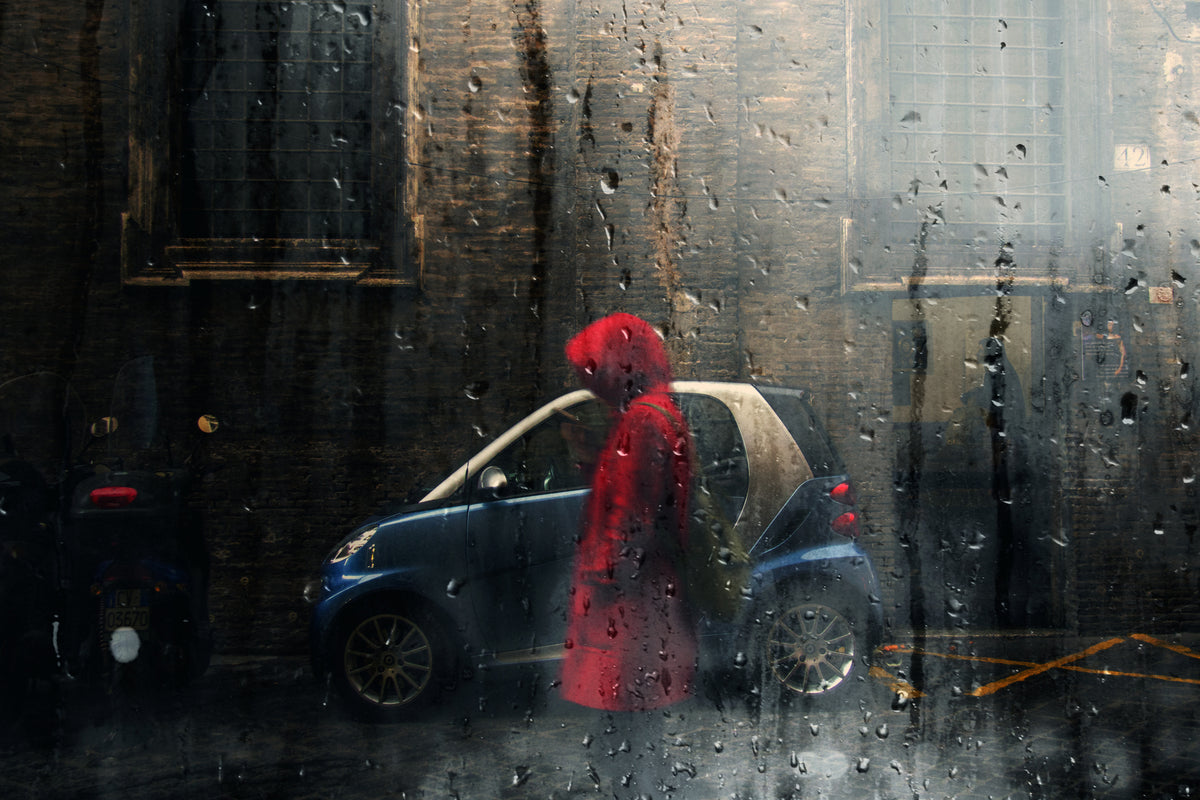 Little Red Riding Hood Poster och Canvastavla