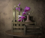 The beauty of the orchid Poster och Canvastavla