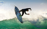 Fly on the wave Poster och Canvastavla