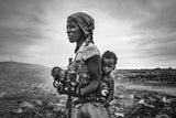 The scale of life Poster och Canvastavla