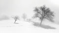 A melancholy foggy day. Poster och Canvastavla