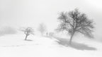 A melancholy foggy day. Poster och Canvastavla