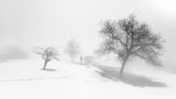 A melancholy foggy day. Poster och Canvastavla