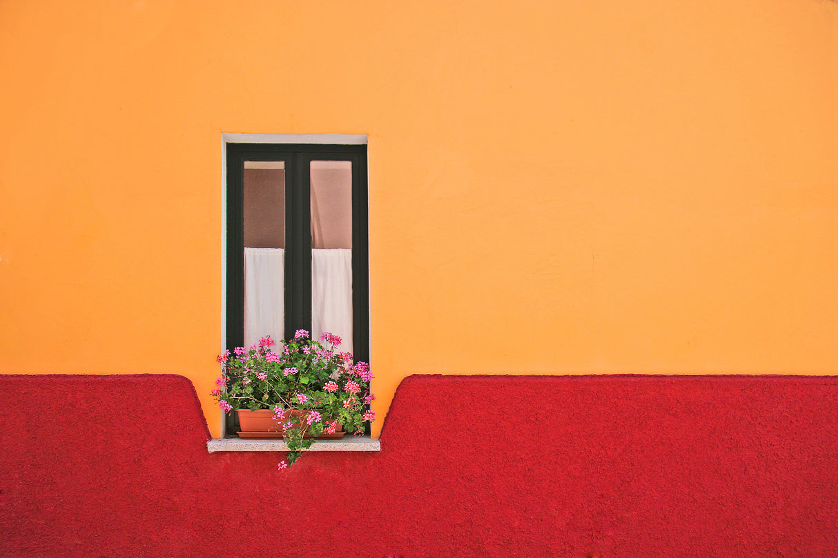window flower Poster och Canvastavla