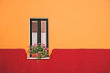 window flower Poster och Canvastavla