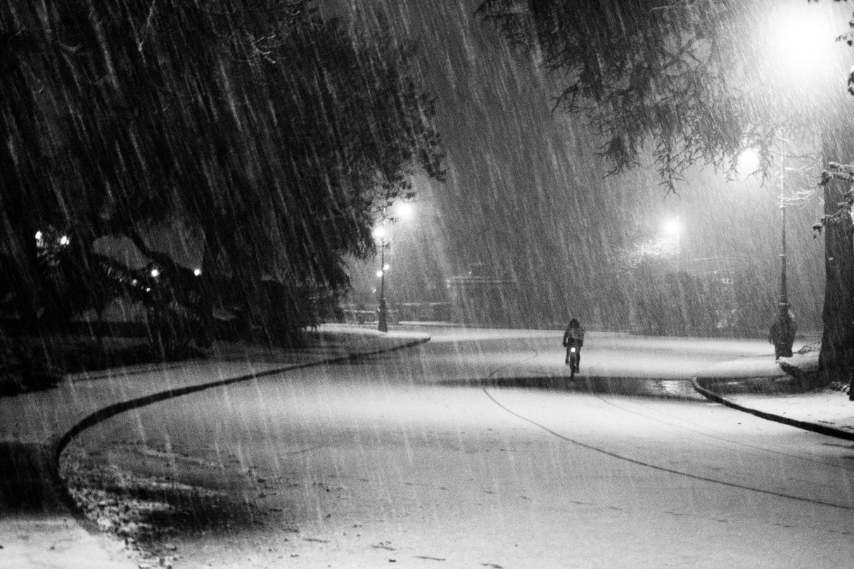 Snowy Poster och Canvastavla