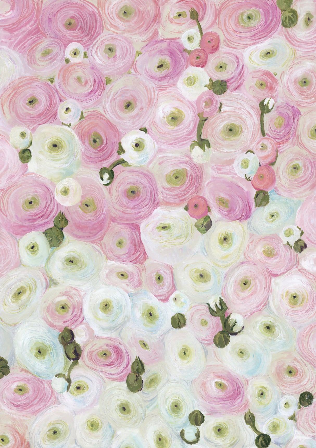 Gabry painterly ranunculus Poster och Canvastavla