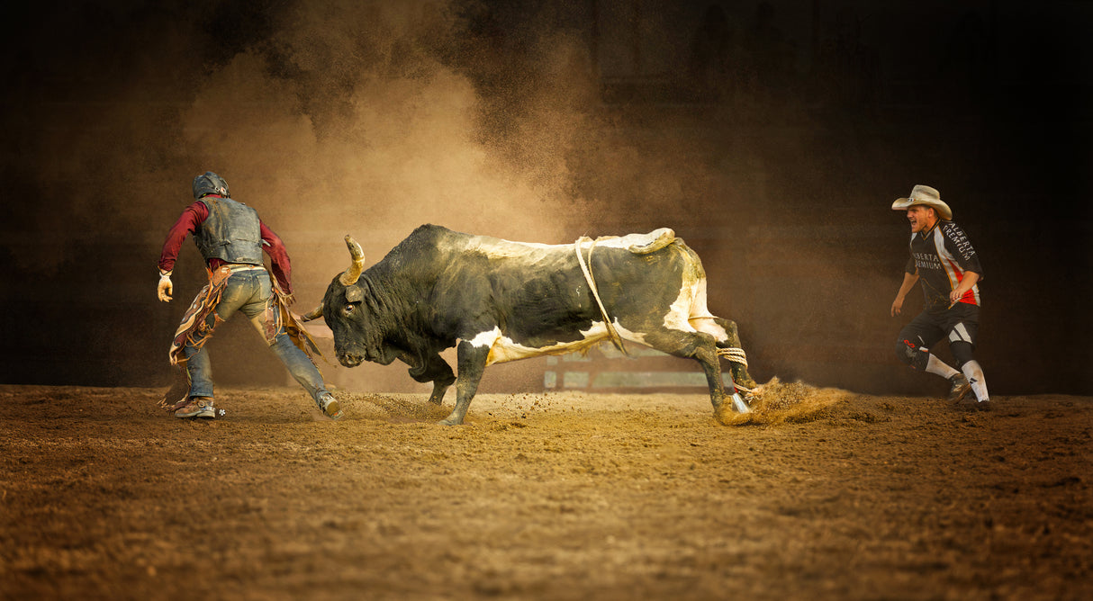 Chasing Poster och Canvastavla