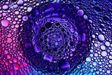 Bubbles Poster och Canvastavla