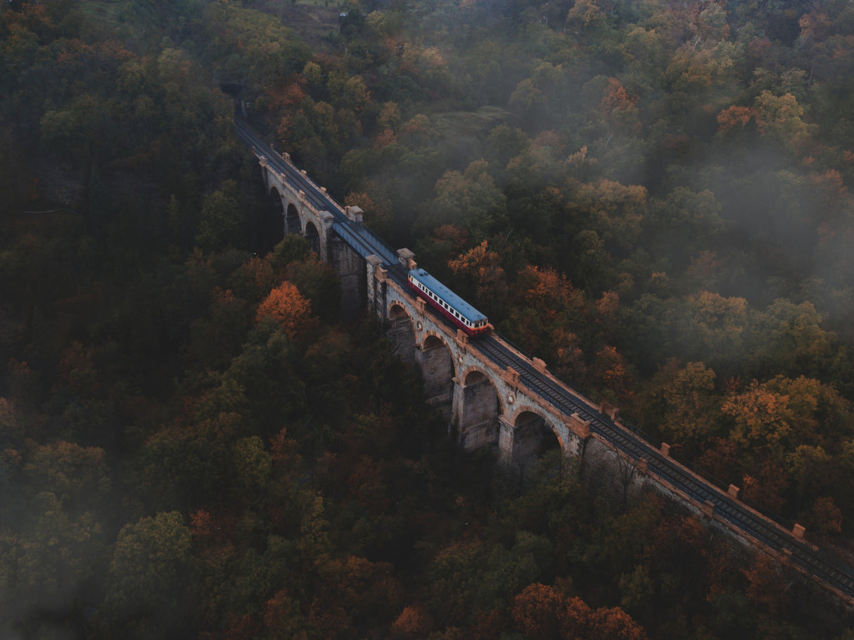 Train crossing a bridge Poster och Canvastavla