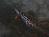 Train crossing a bridge Poster och Canvastavla