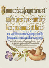 Mushroom Poster Poster och Canvastavla