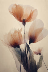 Parchment Flowers No 1 Poster och Canvastavla