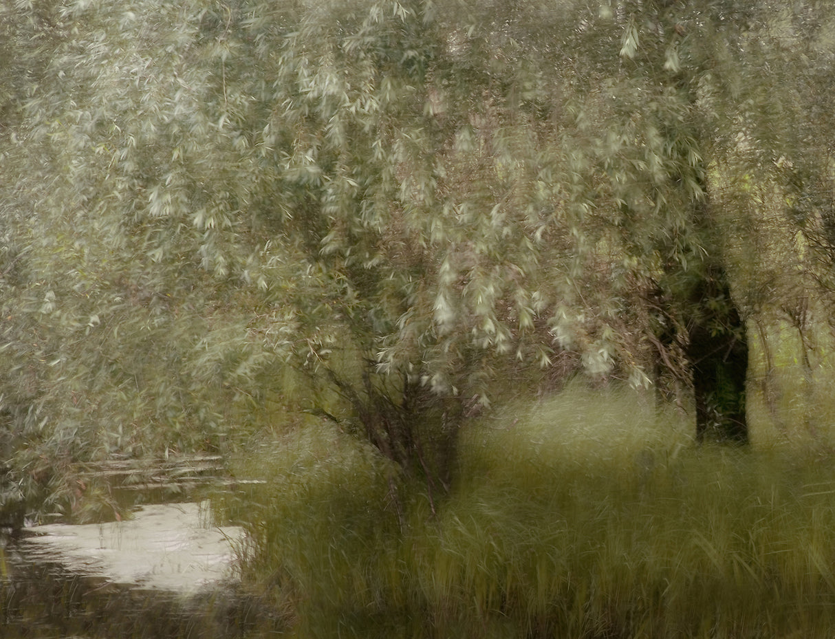 At the riverbank Poster och Canvastavla
