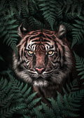 Tiger Poster och Canvastavla
