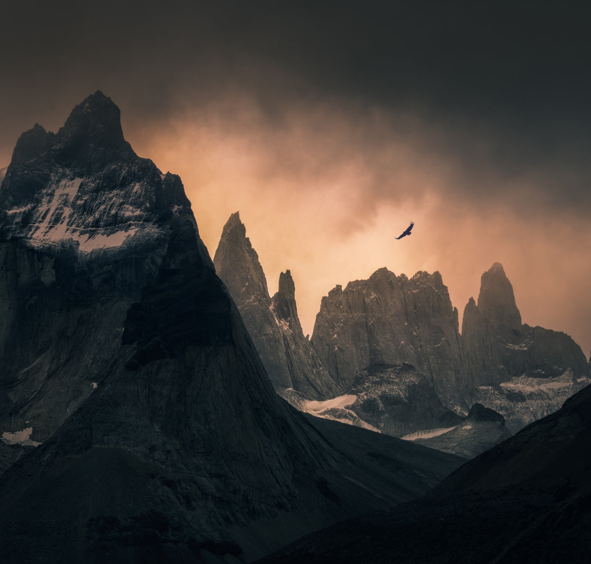 Cordillera Paine Poster och Canvastavla