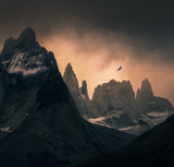 Cordillera Paine Poster och Canvastavla