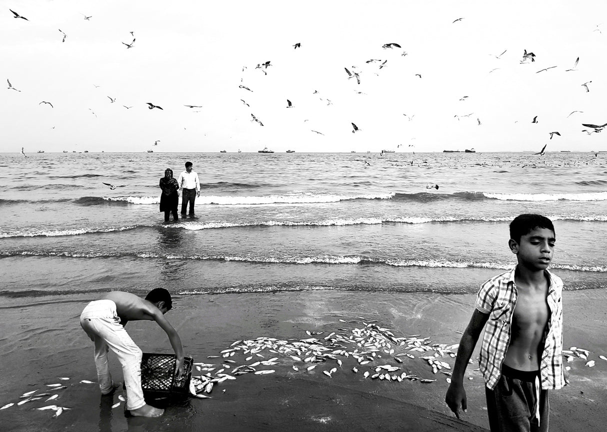 A child tired of the sea Poster och Canvastavla