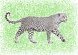 Leopard Rosette camouflage Poster och Canvastavla