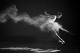 White Swan is Landing Poster och Canvastavla