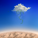 Green Rain Poster och Canvastavla