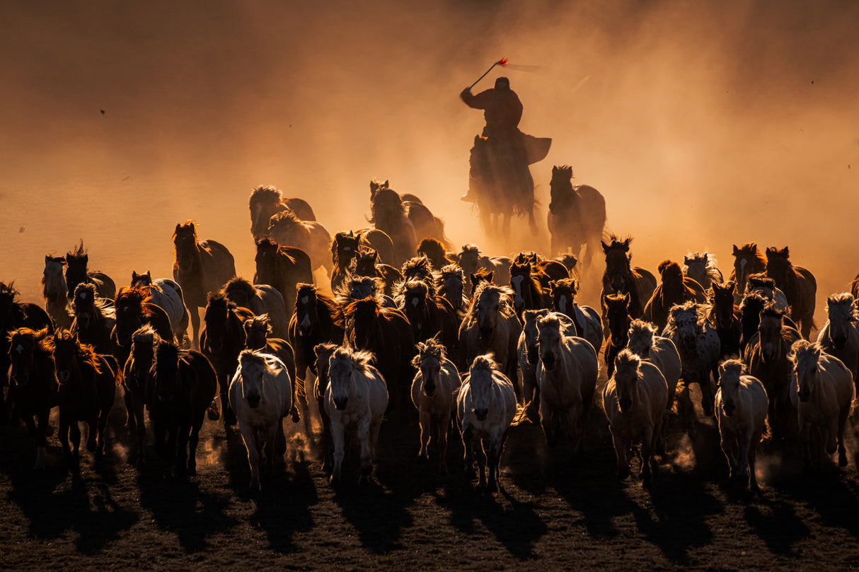 Ten thousand steeds gallop Poster och Canvastavla