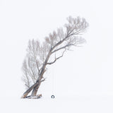 The Swing in Winter Break Poster och Canvastavla