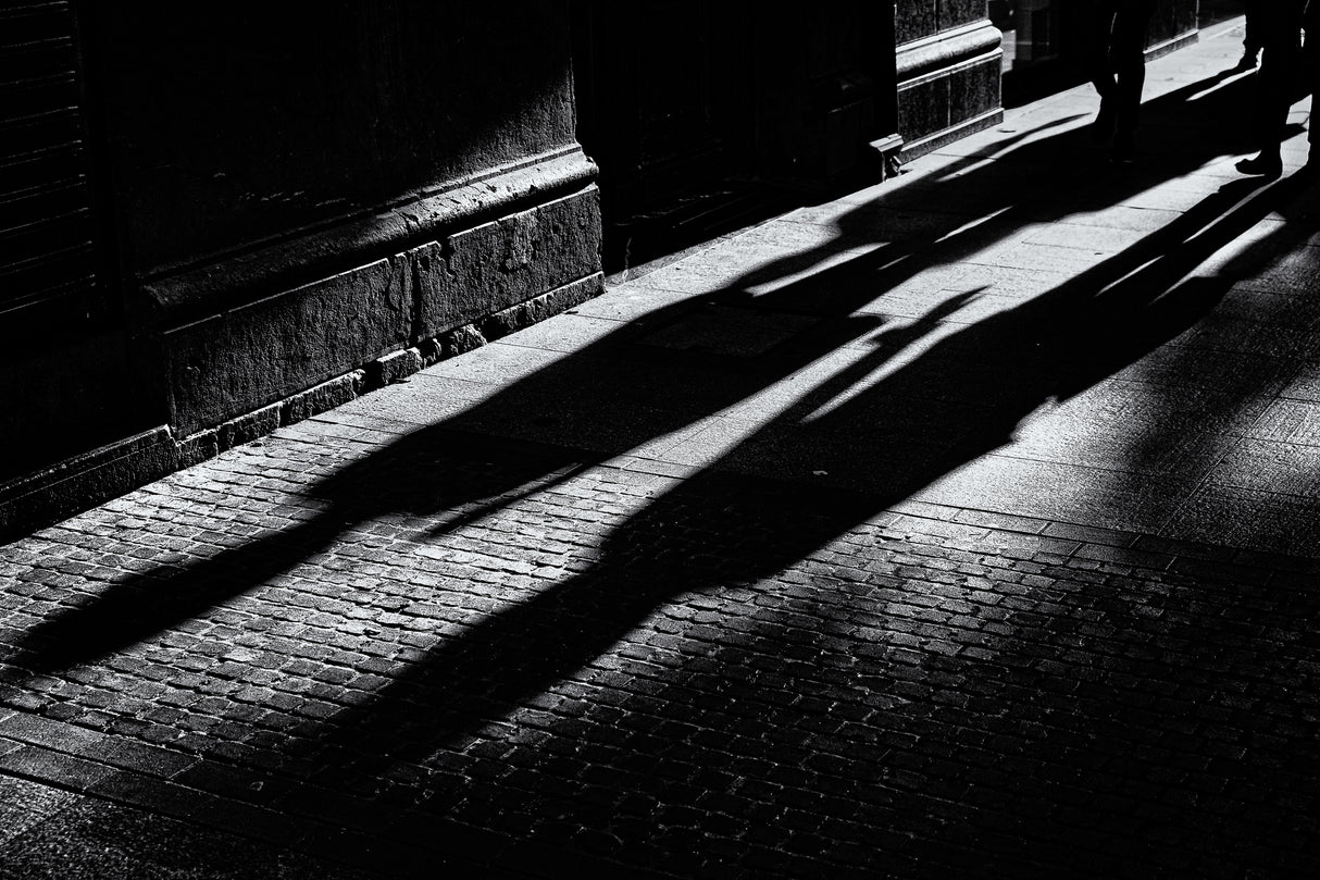 shadow on the way Poster och Canvastavla
