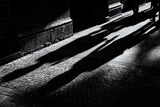 shadow on the way Poster och Canvastavla